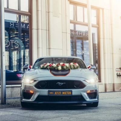 Edited with Lens Distortions v6.9.0